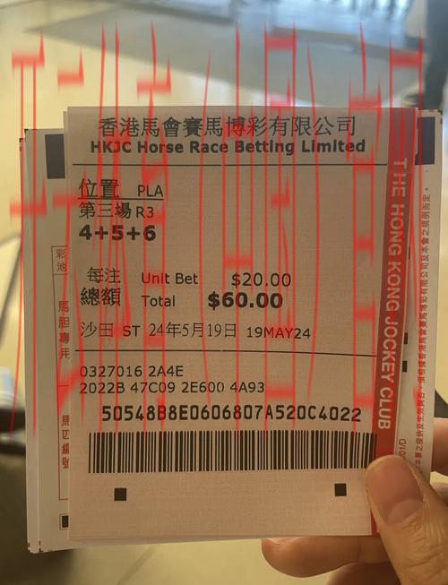 香港皇冠体育网址, 探索香港皇冠体育网址带来的体育赛事投注新体验