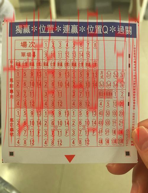 香港皇冠体育网址, 探索香港皇冠体育网址带来的体育赛事投注新体验